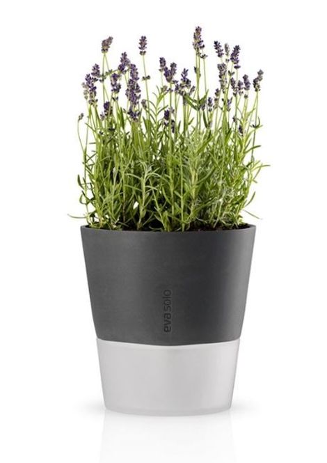 Main Image Flowerpot 20,5cm