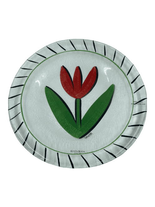 Hovedbilde Tulipa asjett 